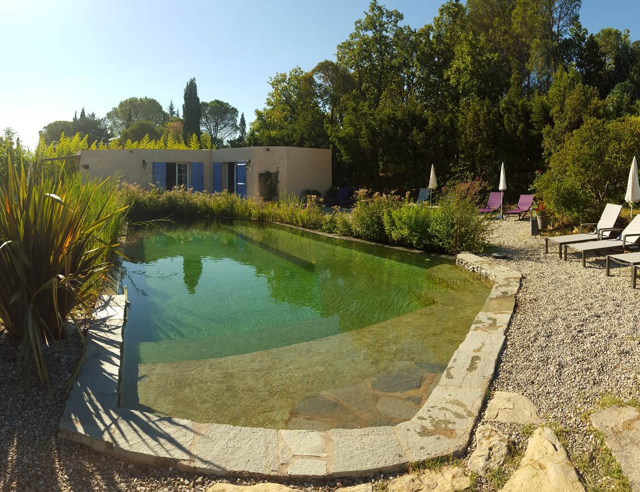 piscinenaturellevillaleshesperidesgrimaudgolfedesainttropez