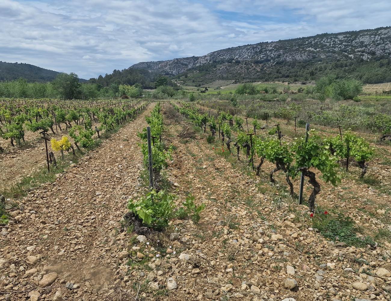 20230520_135523-min-photo-gallery