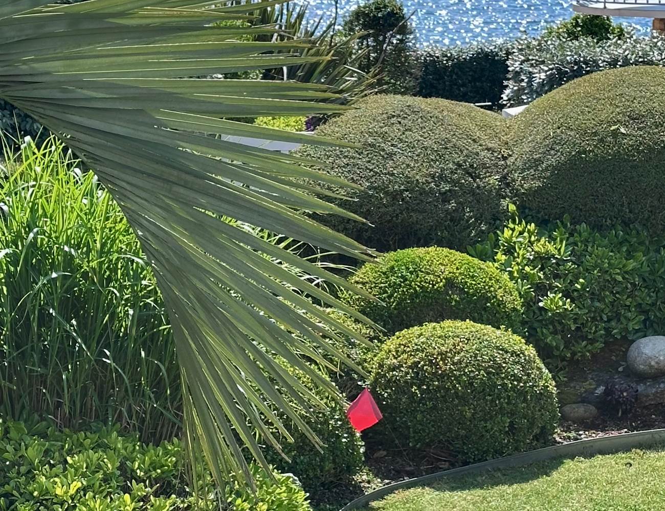 IMG_5126-photo-gallery