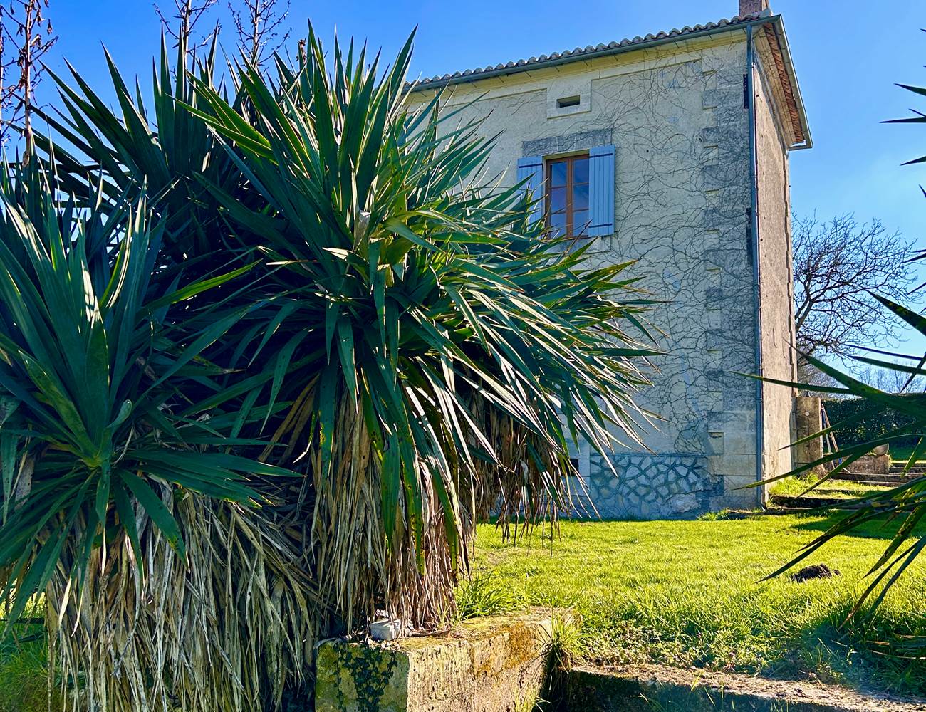 IMG_2320-photo-gallery