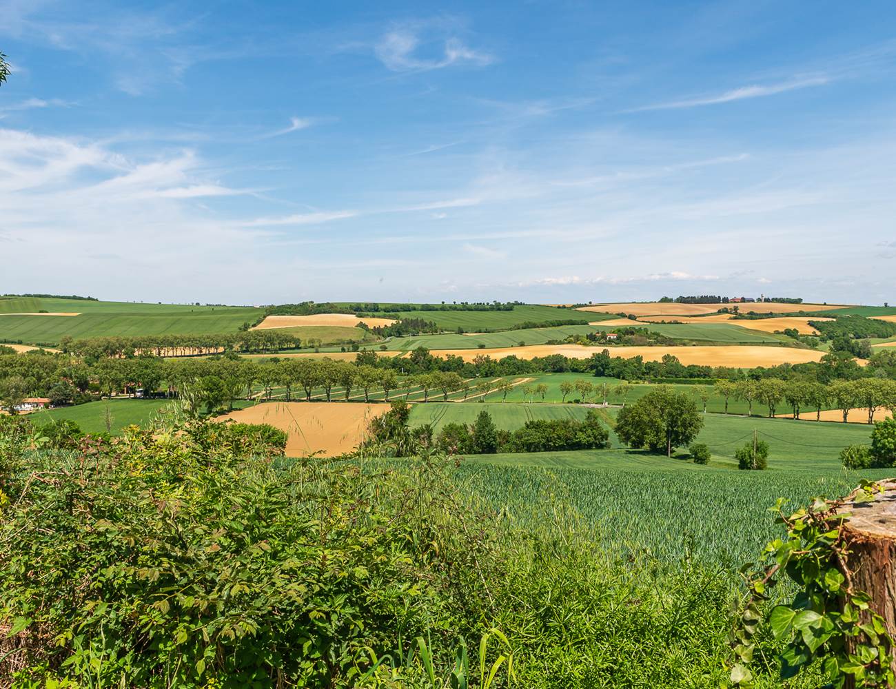 Vue sur les collines depuis la piscine-photo-gallery