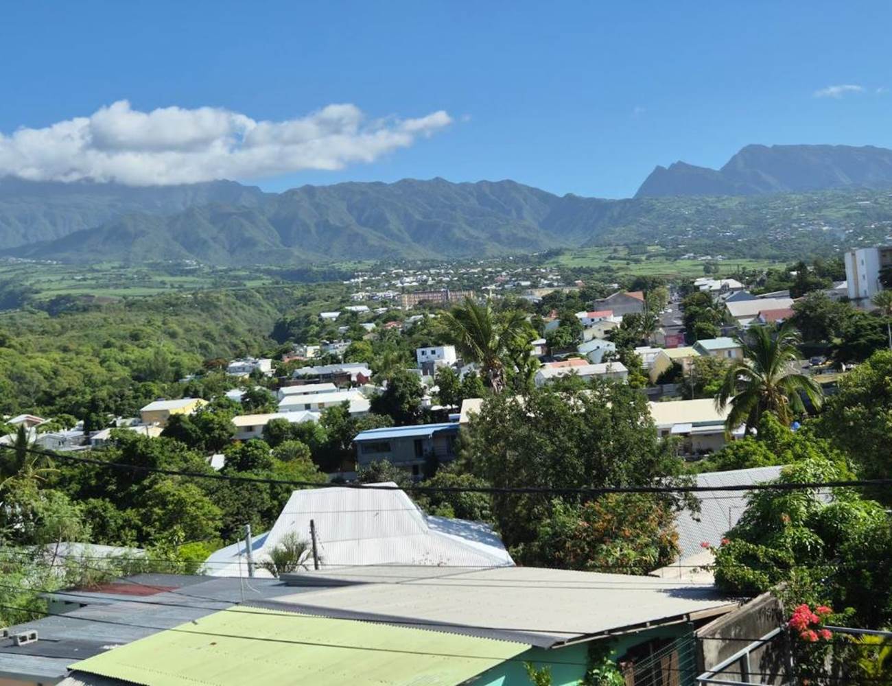 vue nature-photo-gallery