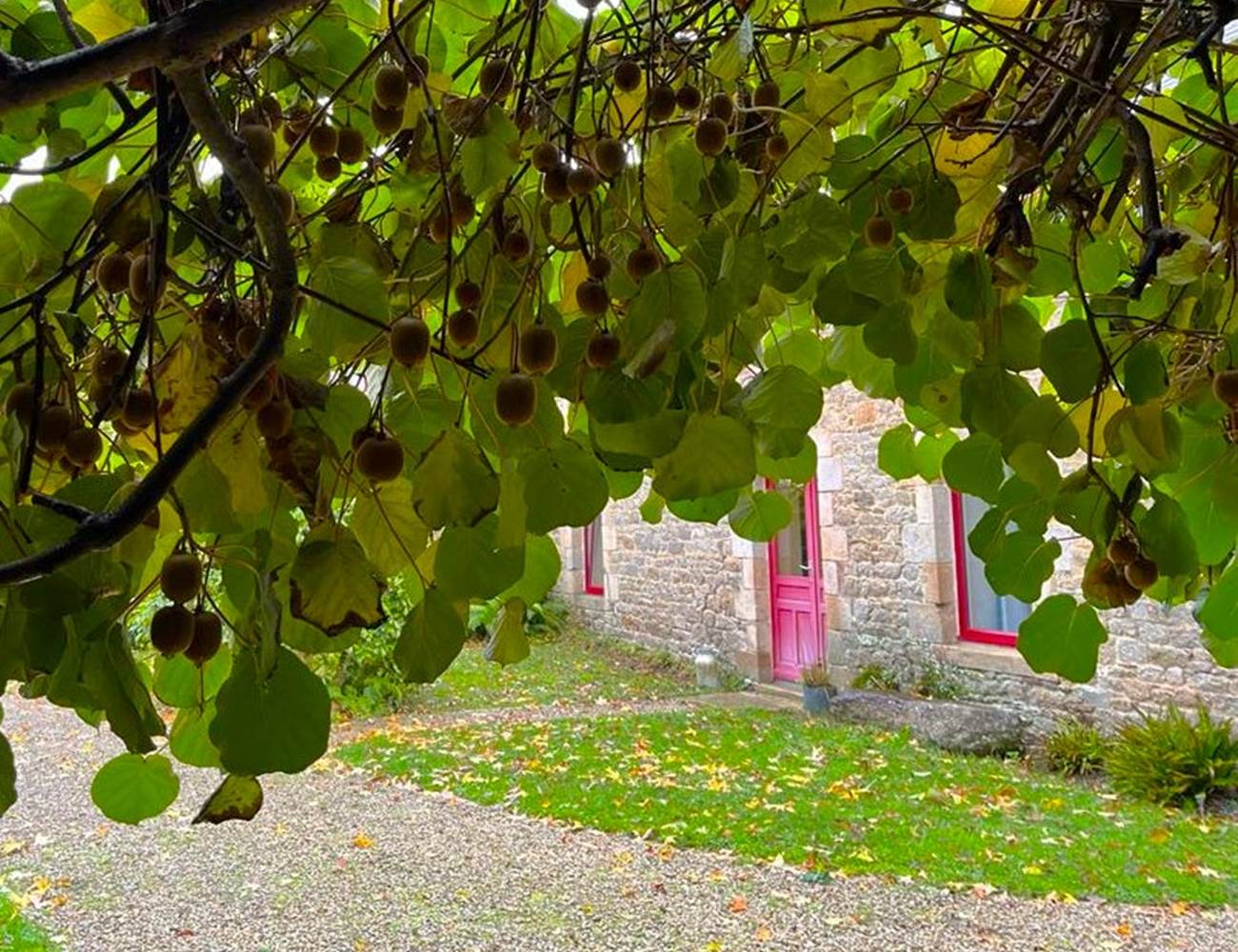 Les Kiwis de La Guyonnais