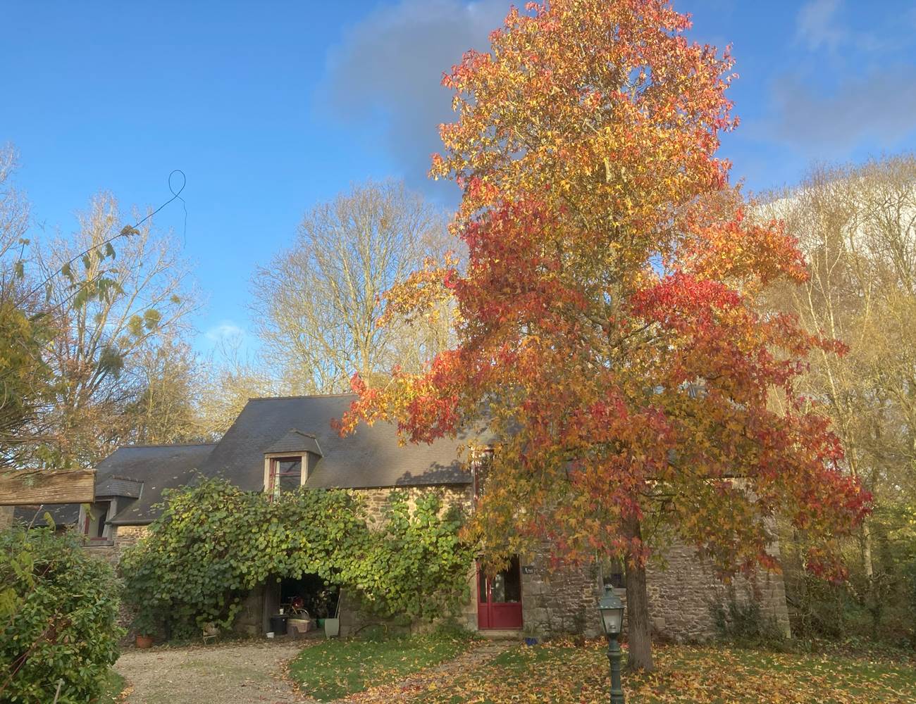 belles couleurs d'automne ...