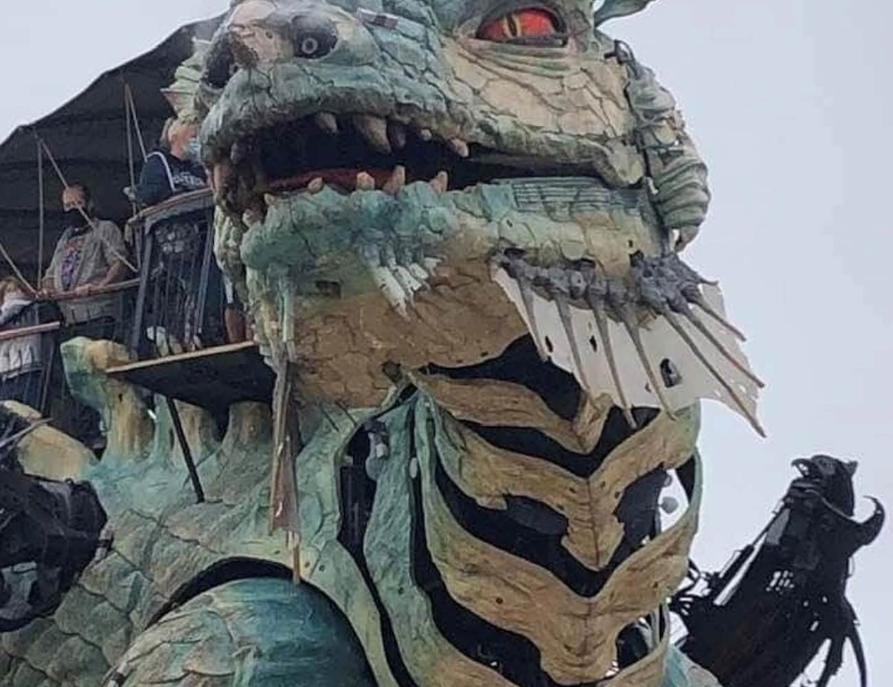 IMG_3330-photo-gallery