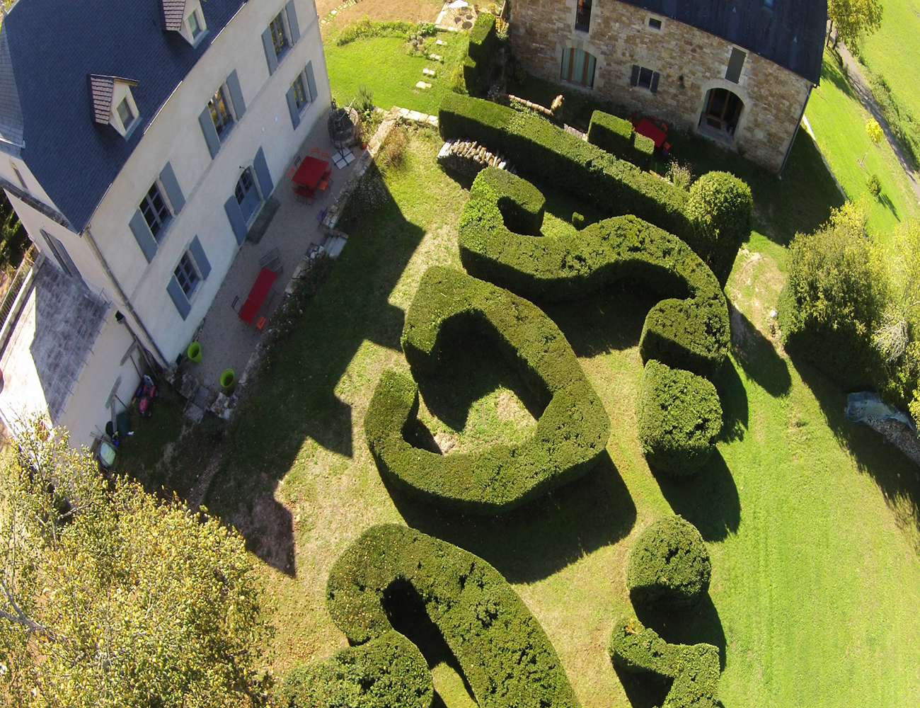 Vue aérienne sur les buis centenaires