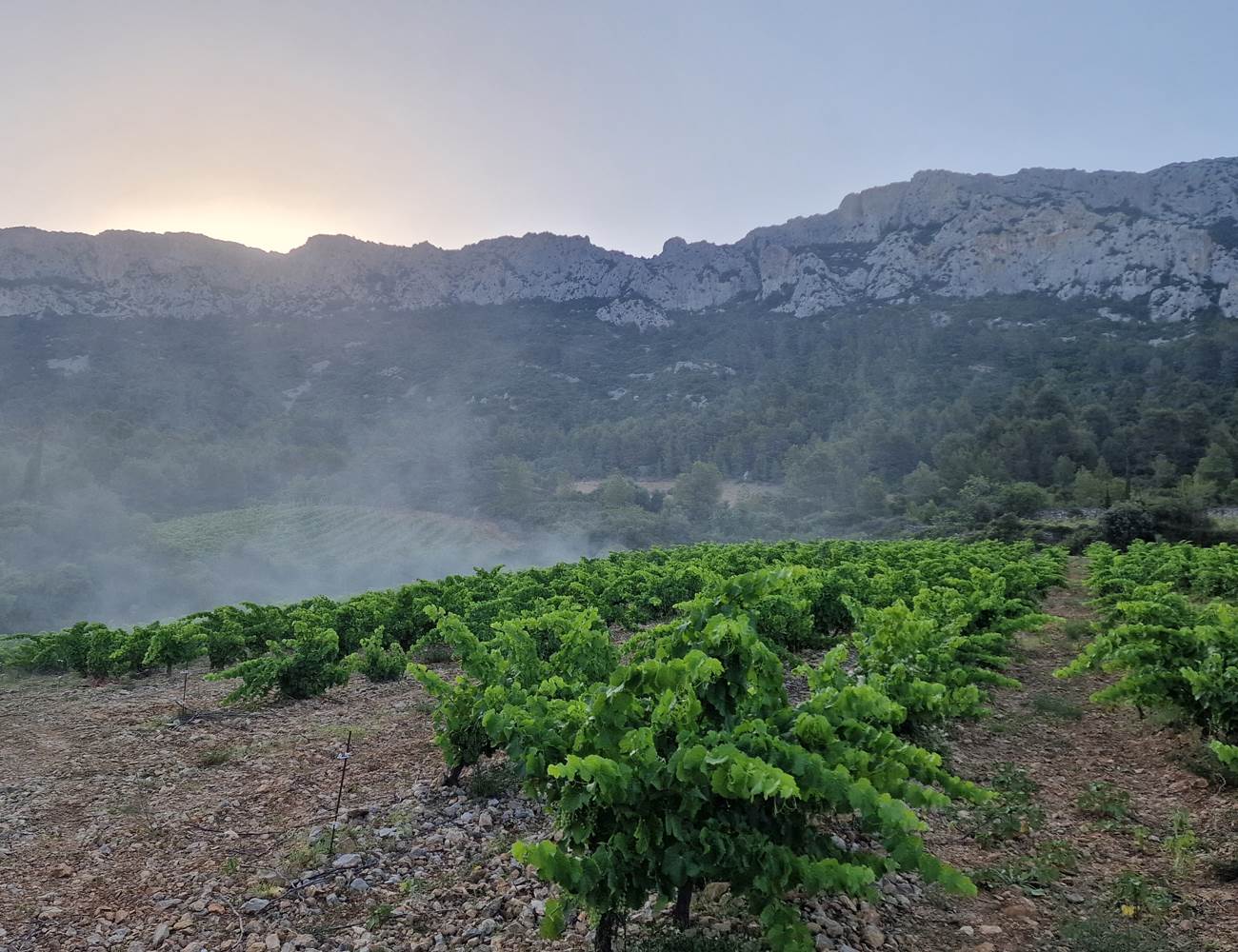 20230709_075853-min-photo-gallery