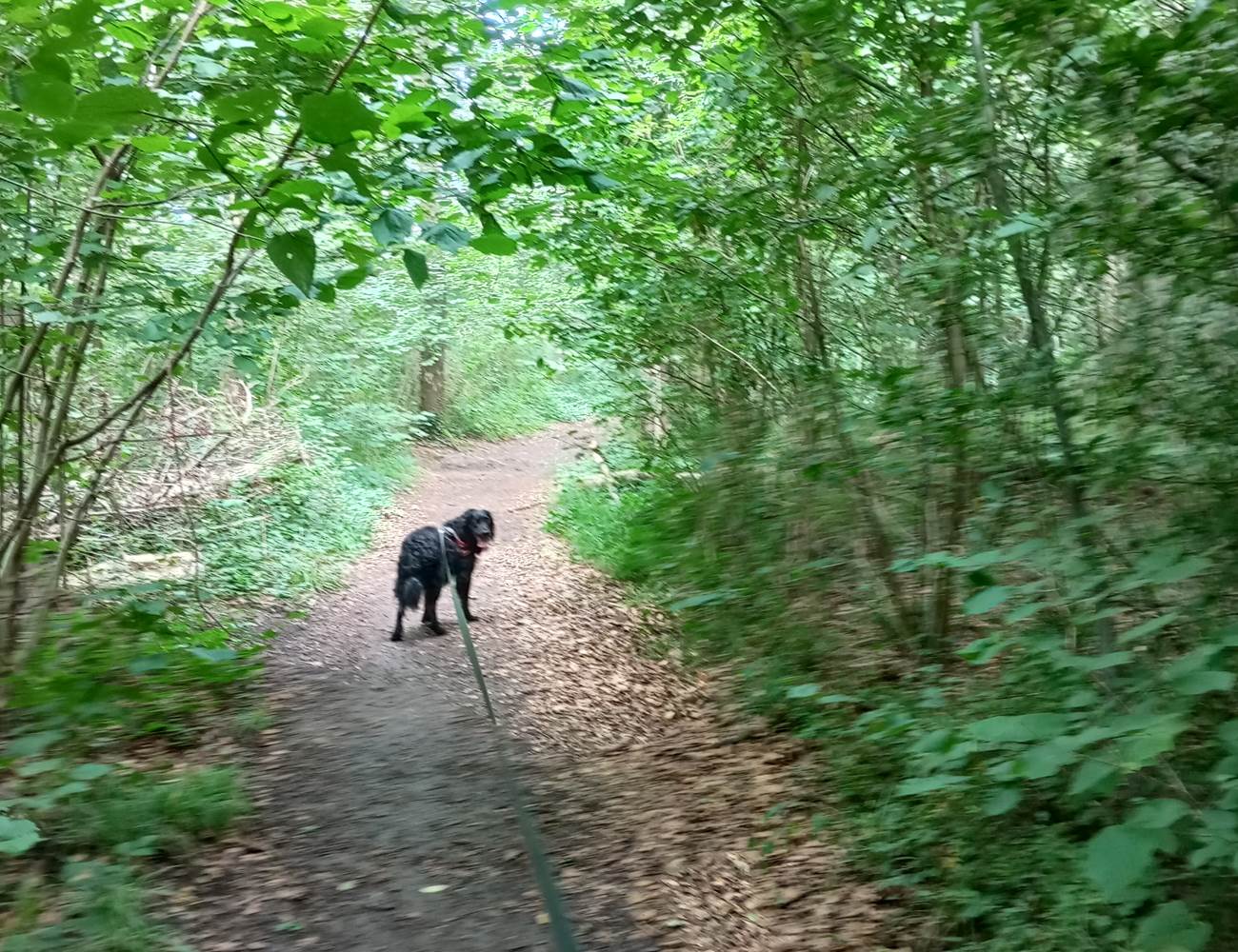 Balade nature- région de Chimay- Parc ESEM
