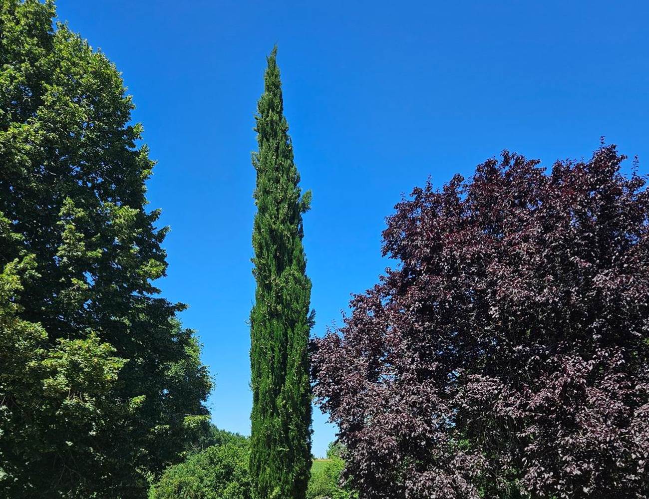 View from the carpark 2-photo-gallery