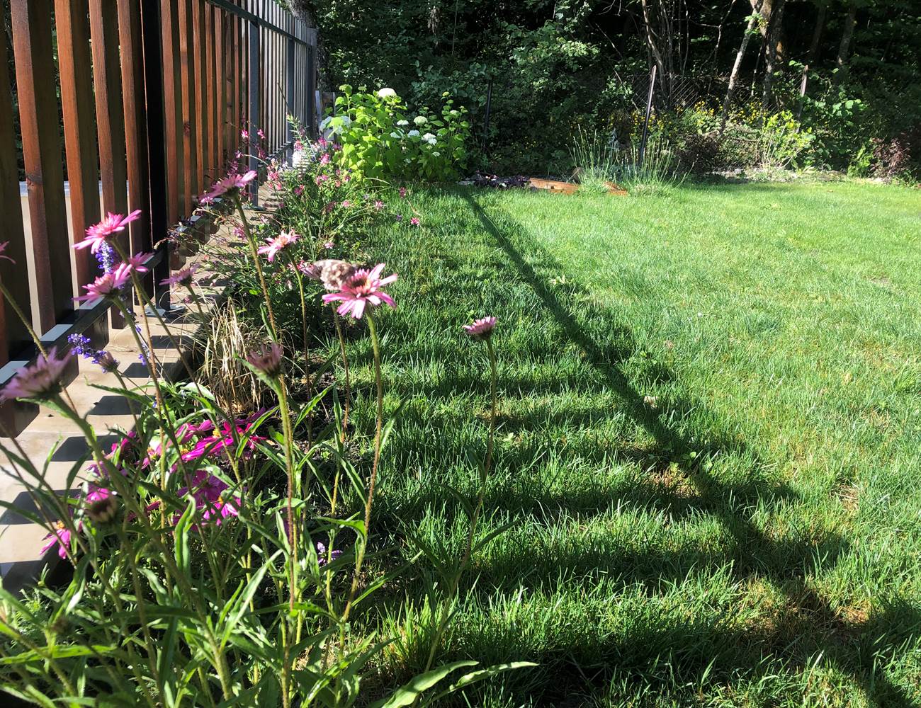 tempImagevBwzMQ-photo-gallery