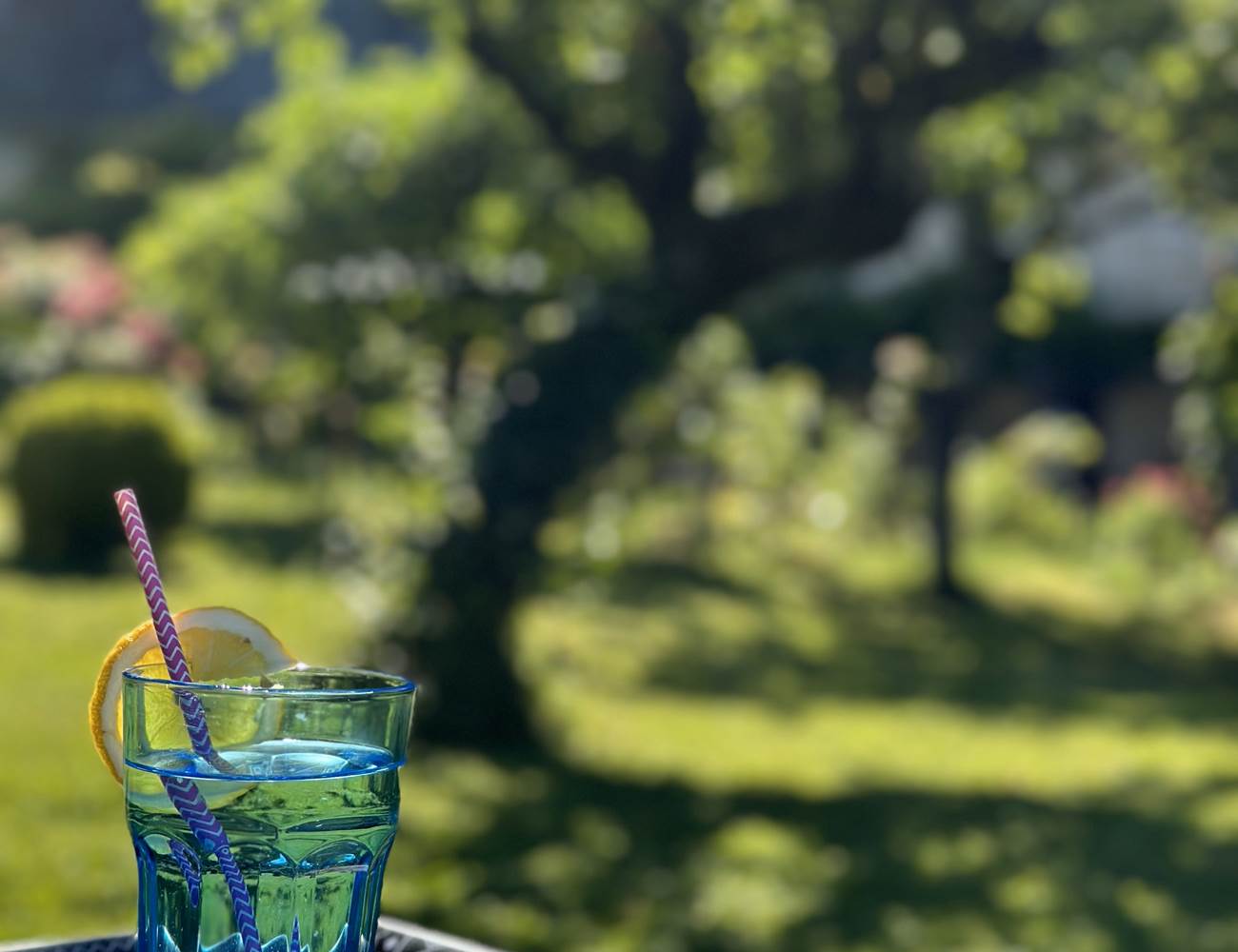 Jardin-photo-gallery