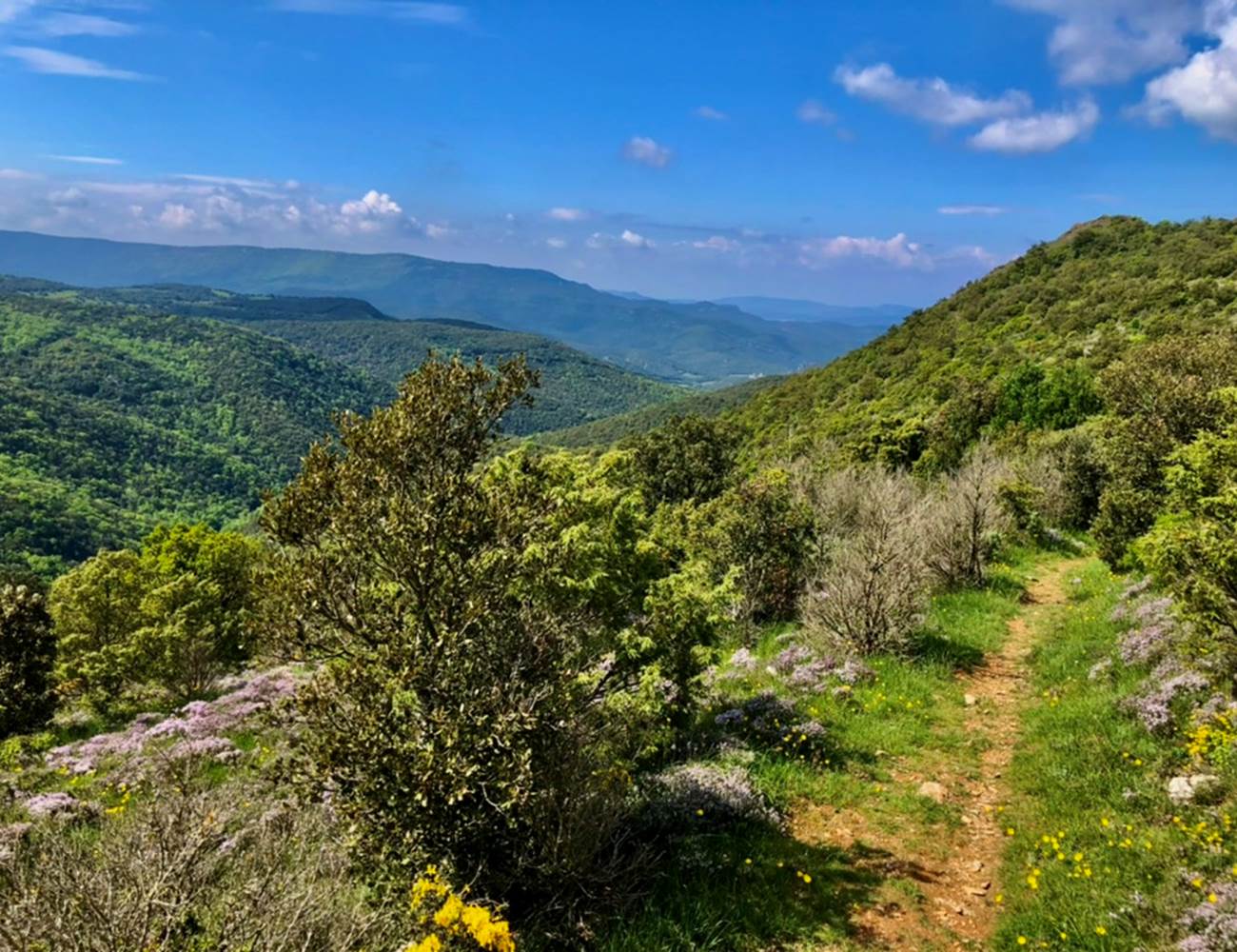 randonnée dans les Corbieres-photo-page