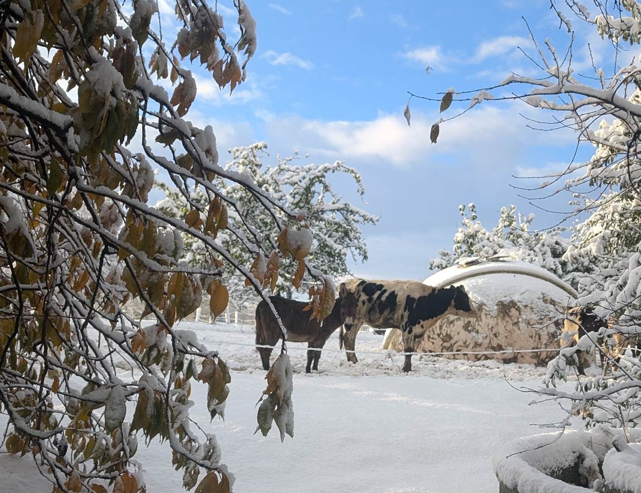 image(1)-photo-gallery