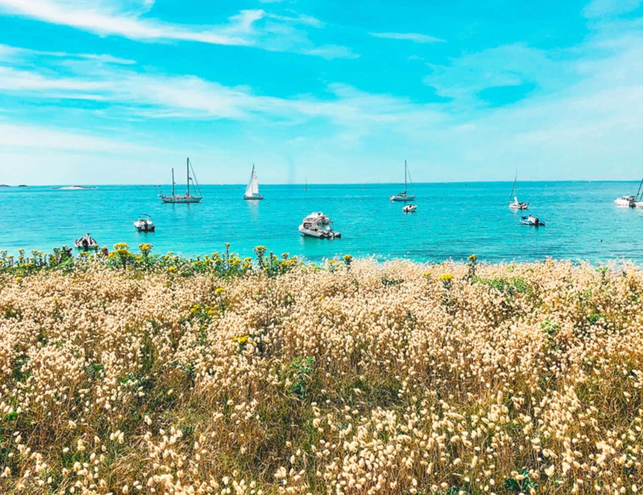Île de Penfret les Glénan Fouesnant-photo-page