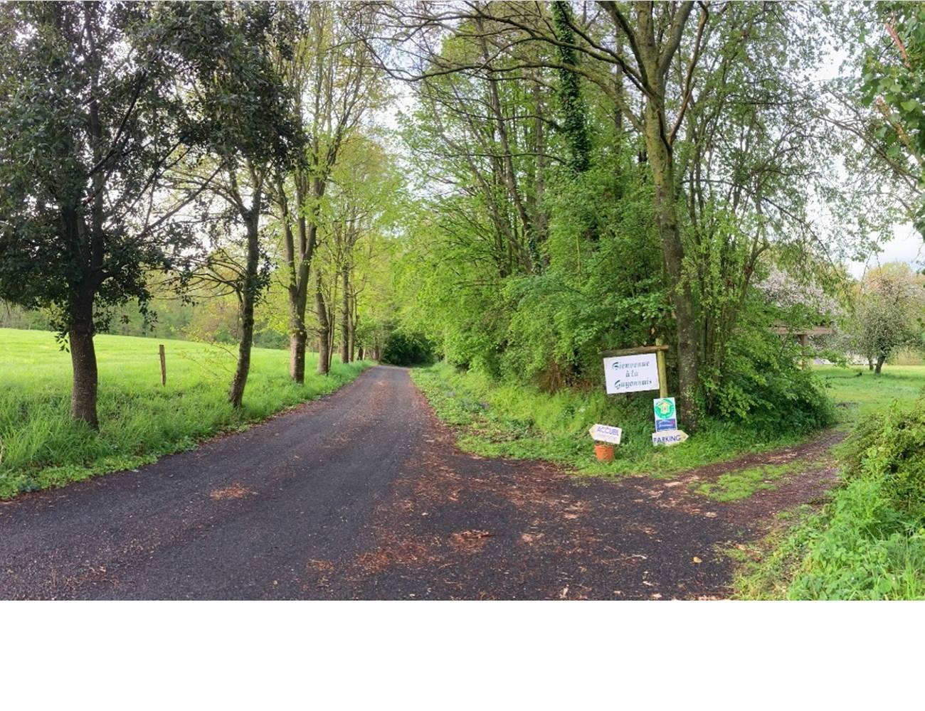 vous êtes arrivés dans le domaine ...