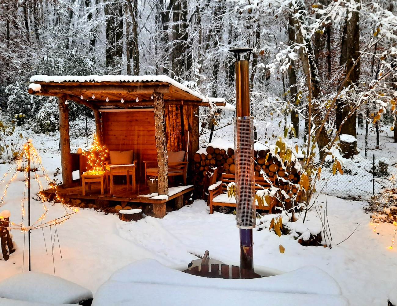 Domaine dans la forêt-photo-news