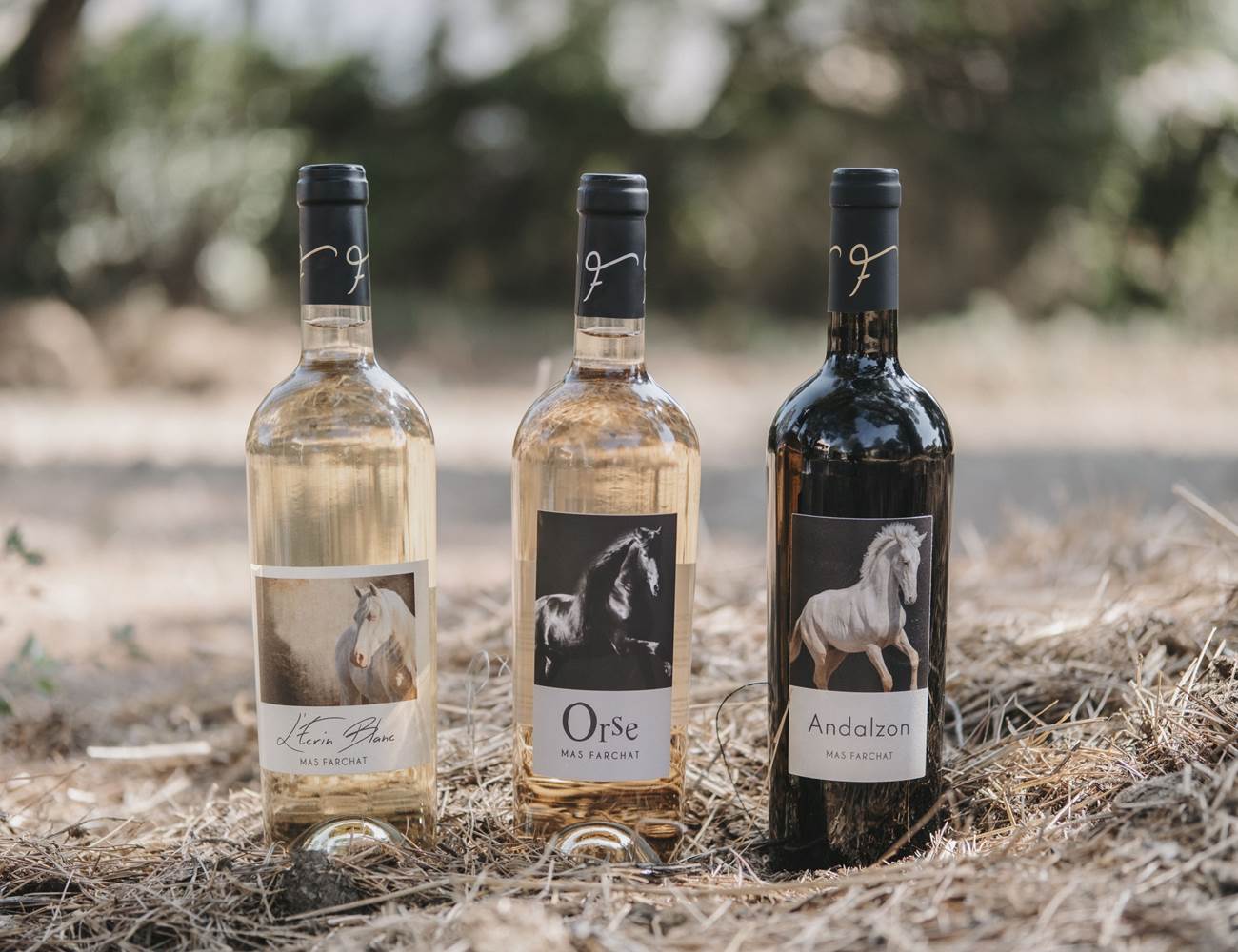 Les vins AOP Languedoc du Mas Farchat-photo-page