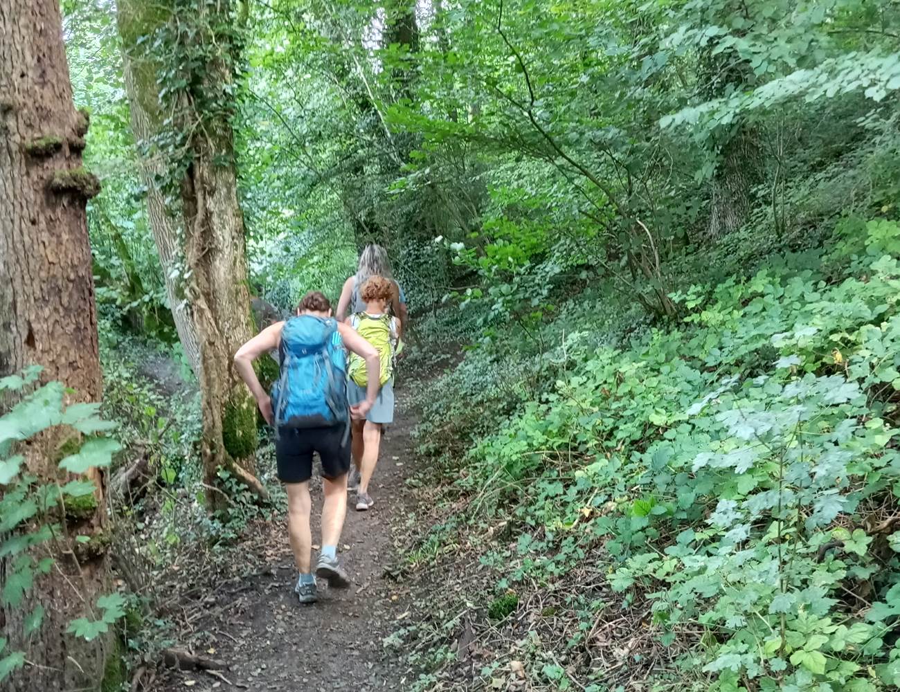 les activités du parc ESEM