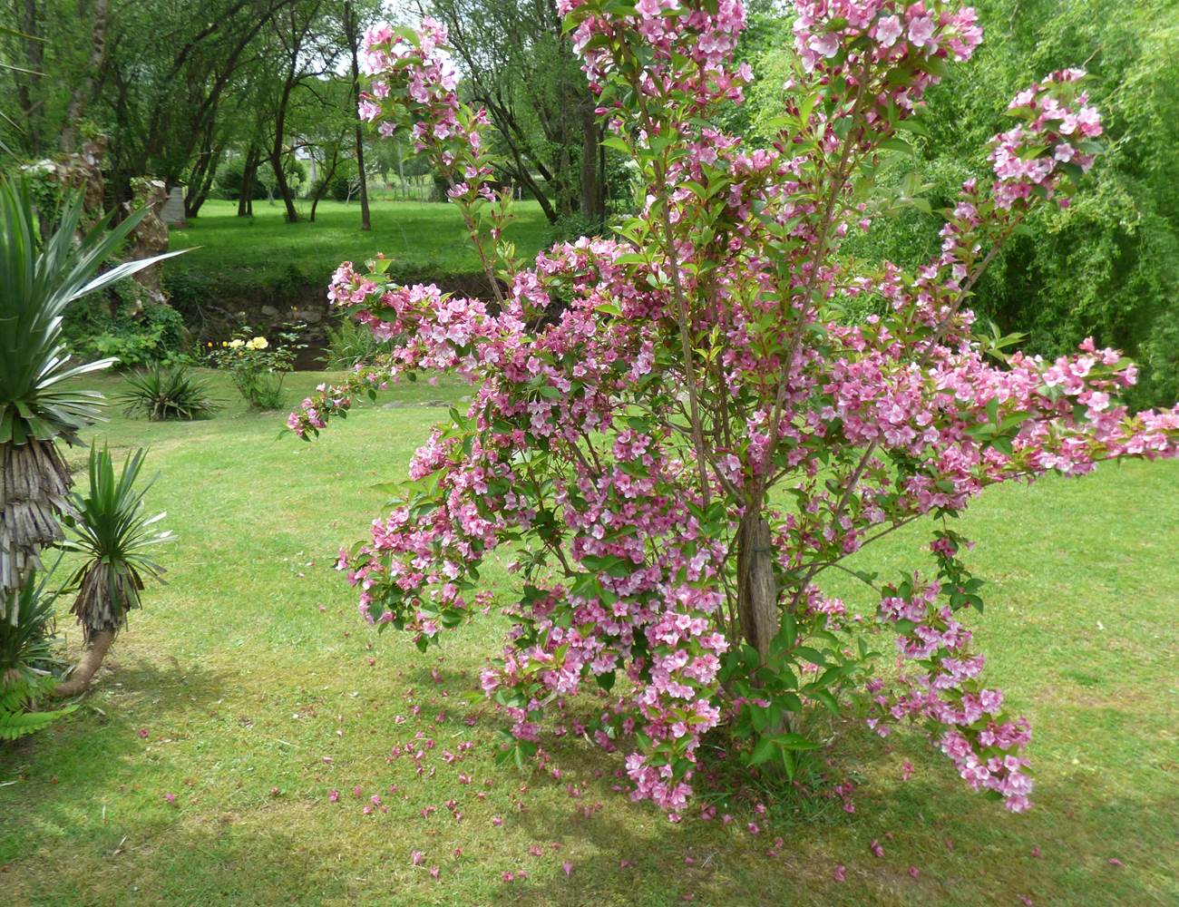 ARBUSTE-photo-gallery