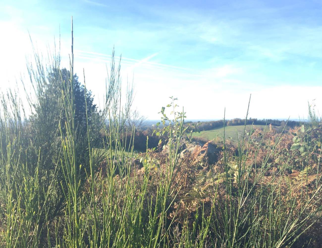 Le site du Mont Gargan-photo-page