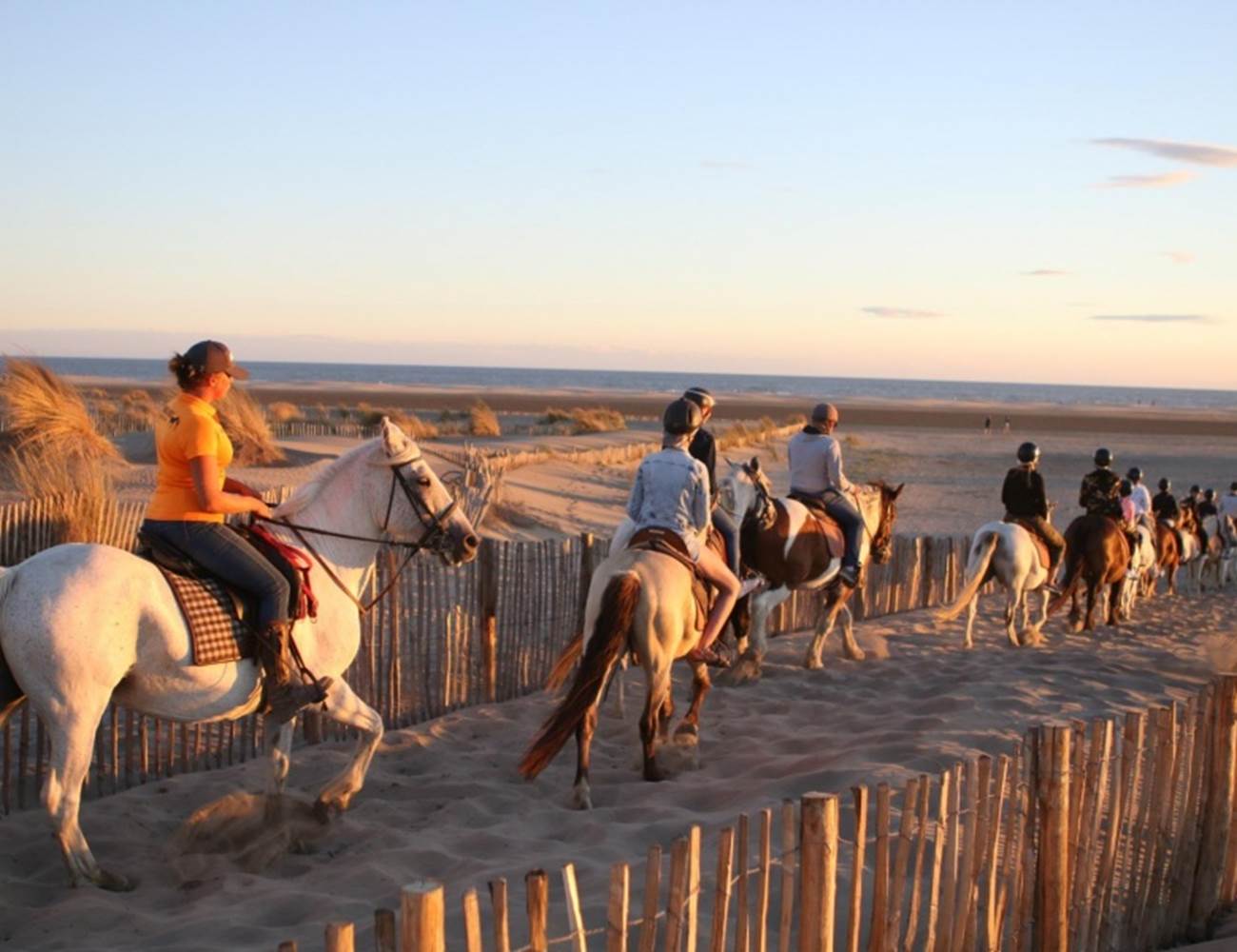 Camargues-Balades-équestres