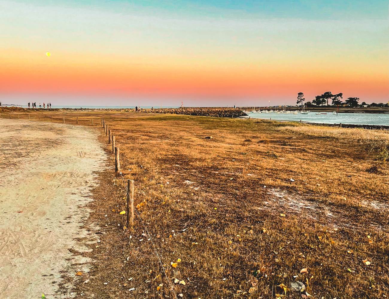 Port La Forêt-photo-news