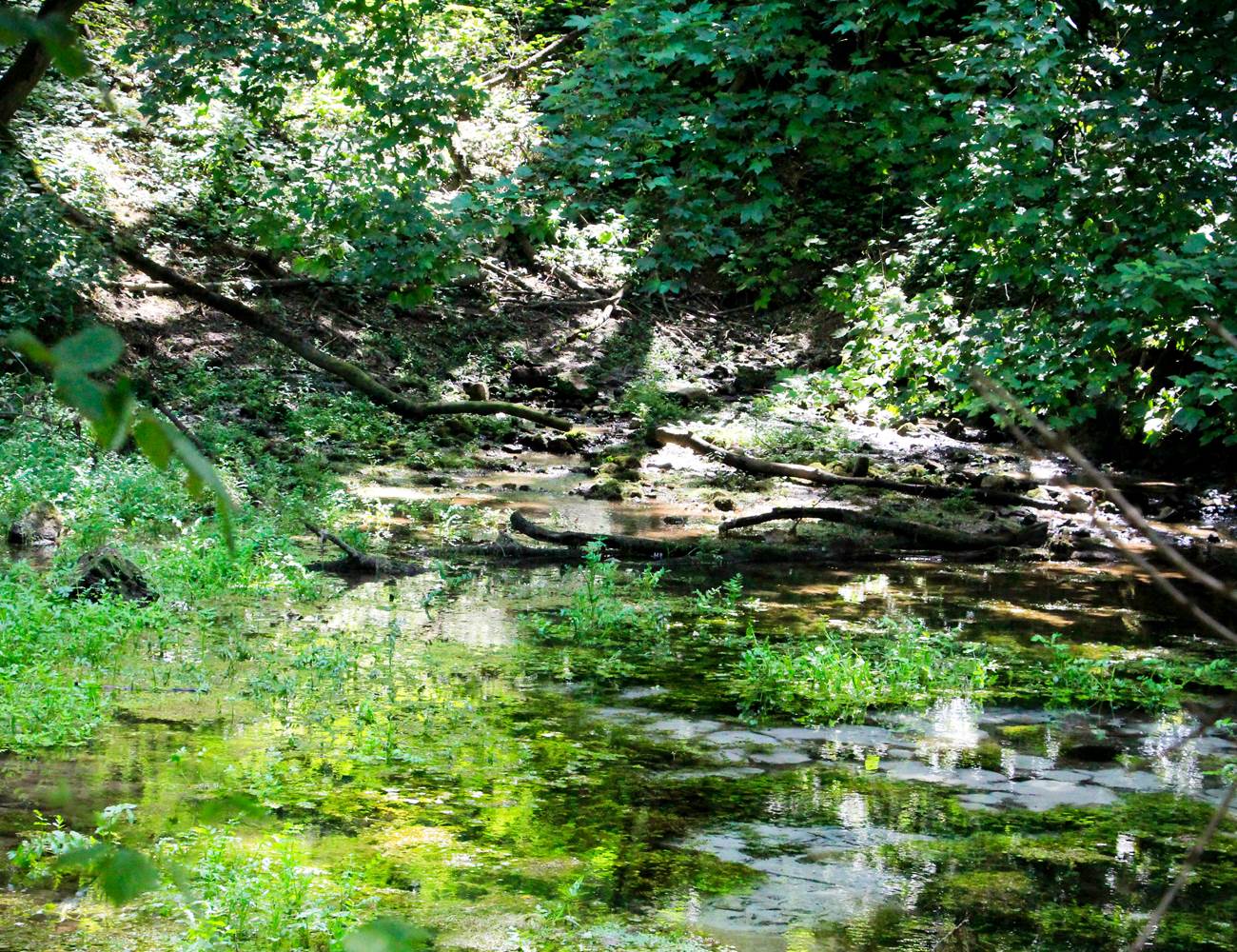 La fontaine des clercs-photo-gallery