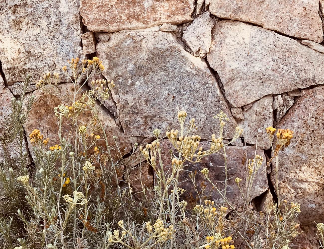 domaine chioso alla chiesa -zoom 2-photo-gallery