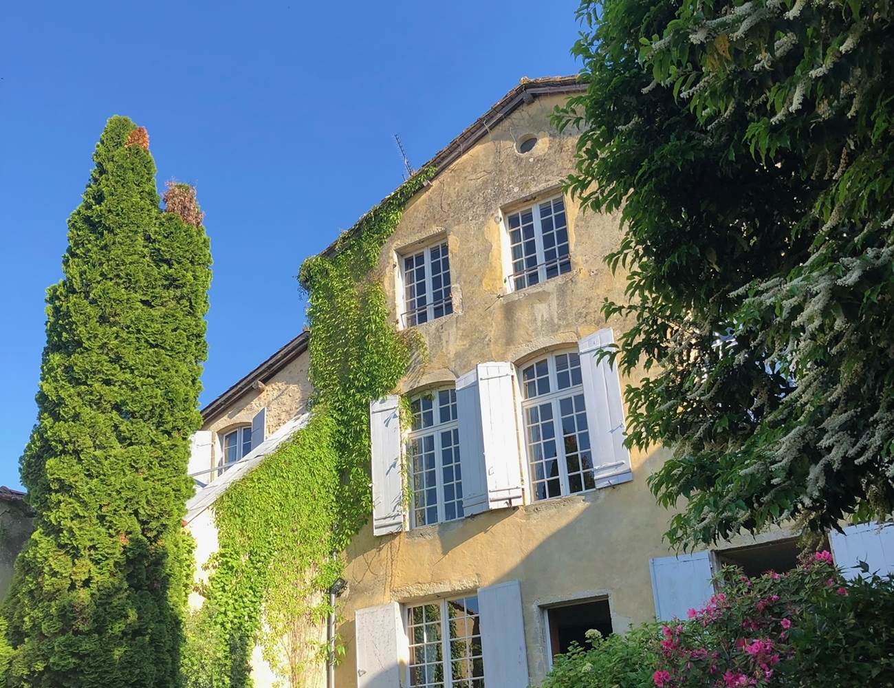 Le Clos de la Cathédrale côté jardin-photo-gallery