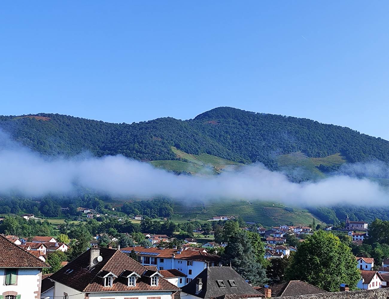 1724864820955-photo-gallery