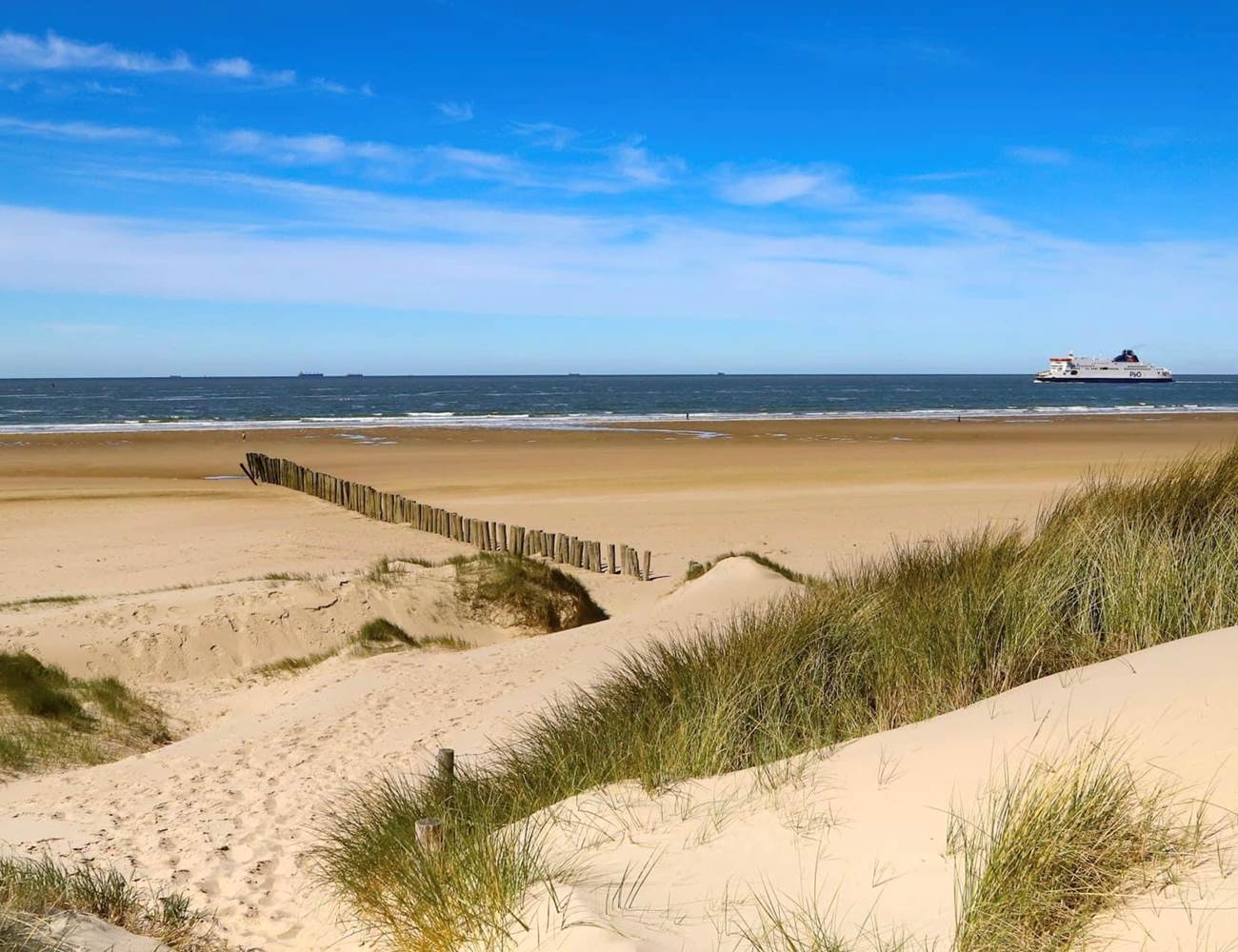 IMG_8810-photo-gallery