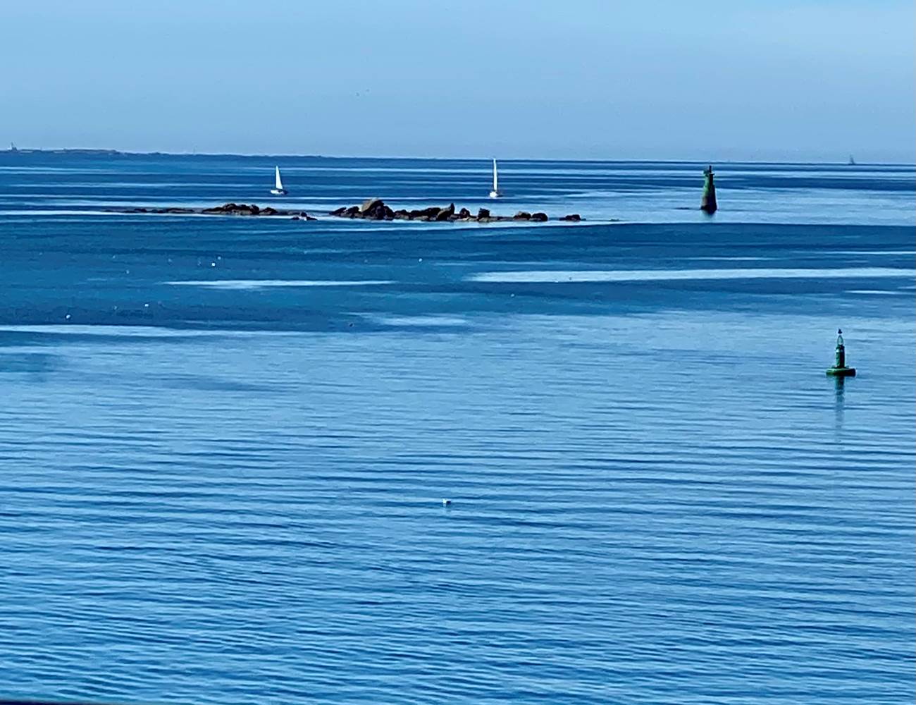 Vue océan-photo-gallery