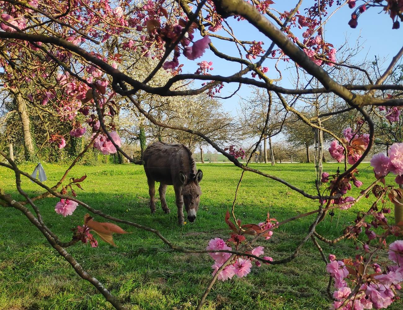 IMG_20230420_122854-photo-gallery