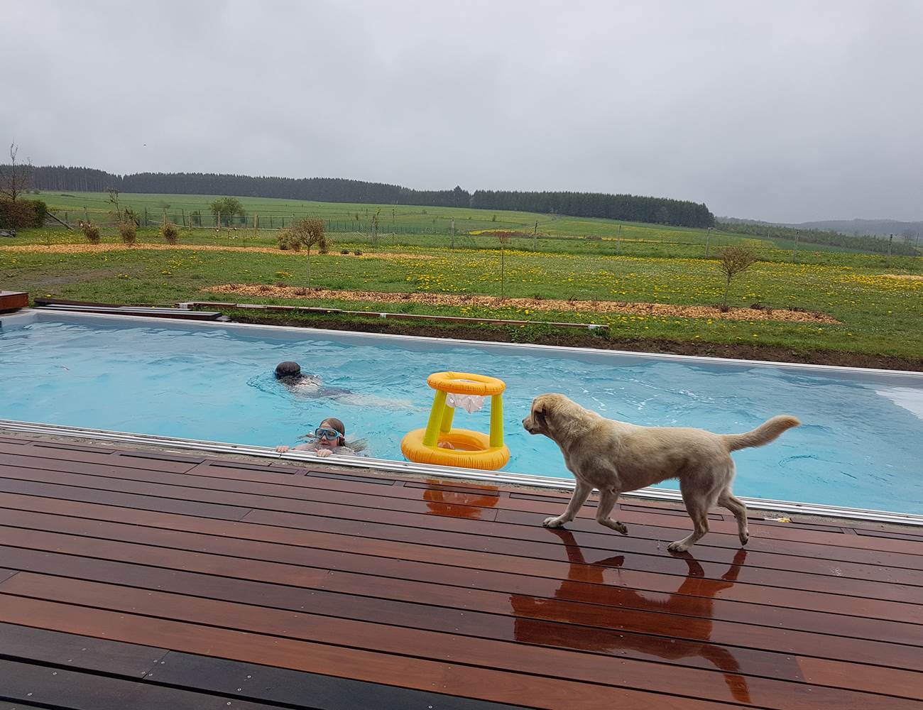 Baignade-photo-gallery