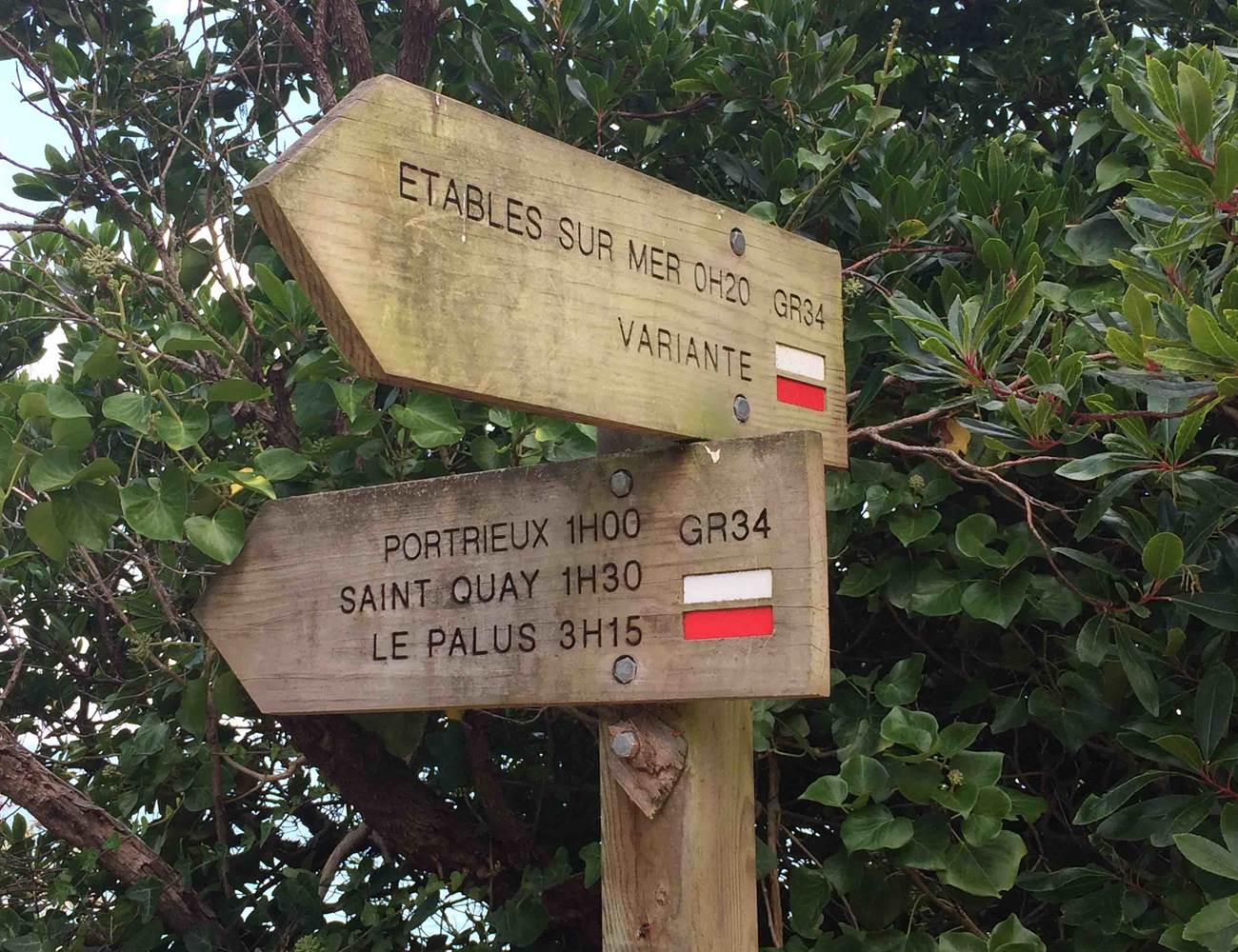 La Korrigane_Binic-Etables sur mer_Chambre d'hote_Hotel_GR 24 sentier des douaniers