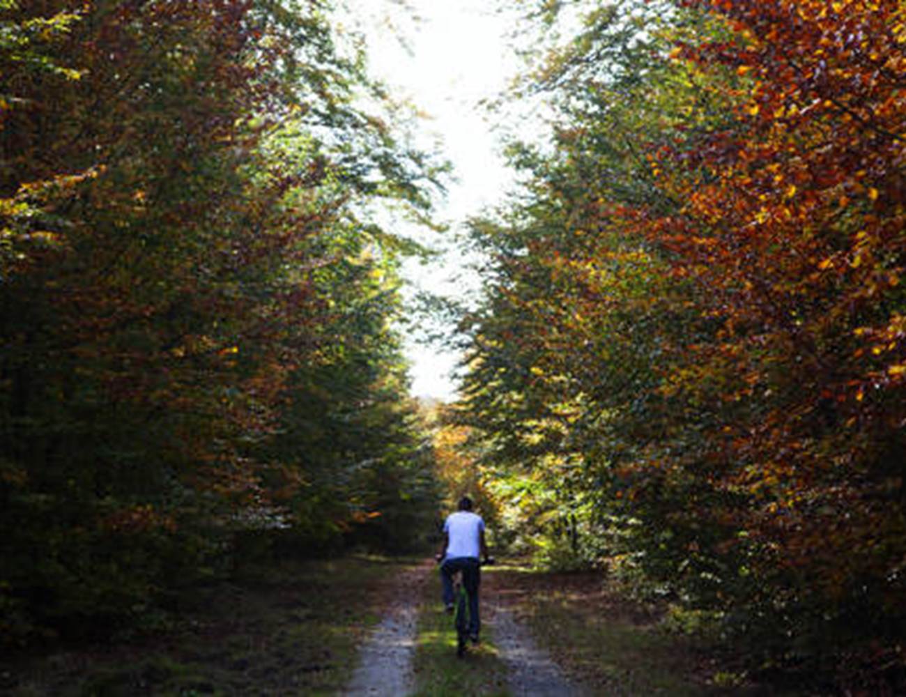 Parc naturel de la forêt d'Anlier et de la Haute Sûre-photo-gallery