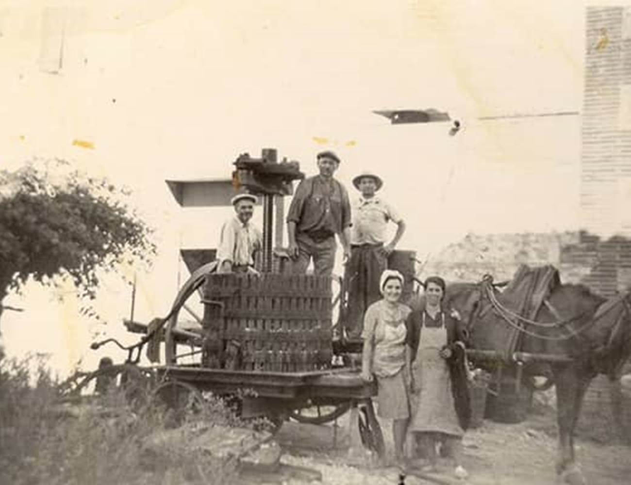 vin-pays-doc-argeles-sur-mer (1)-photo-gallery