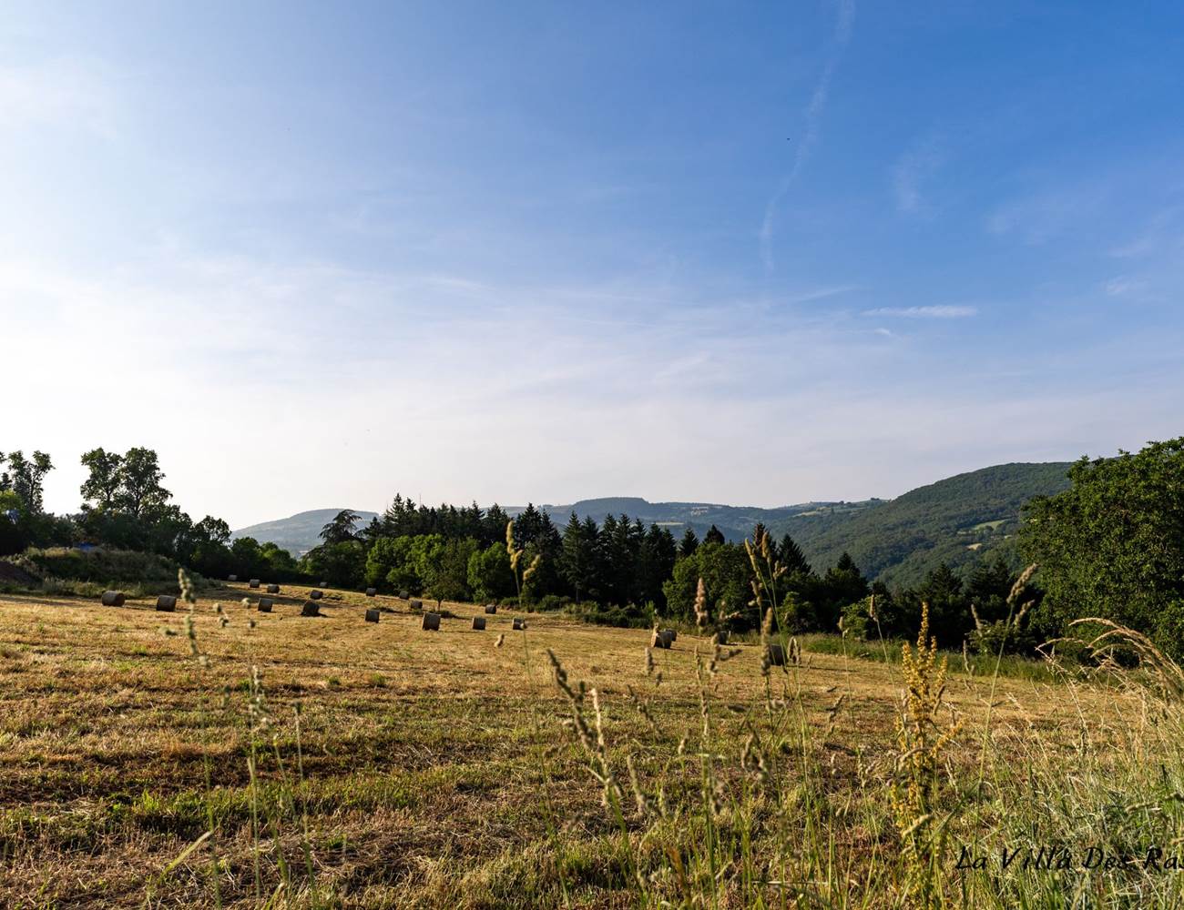 Ambiance champètre-photo-gallery