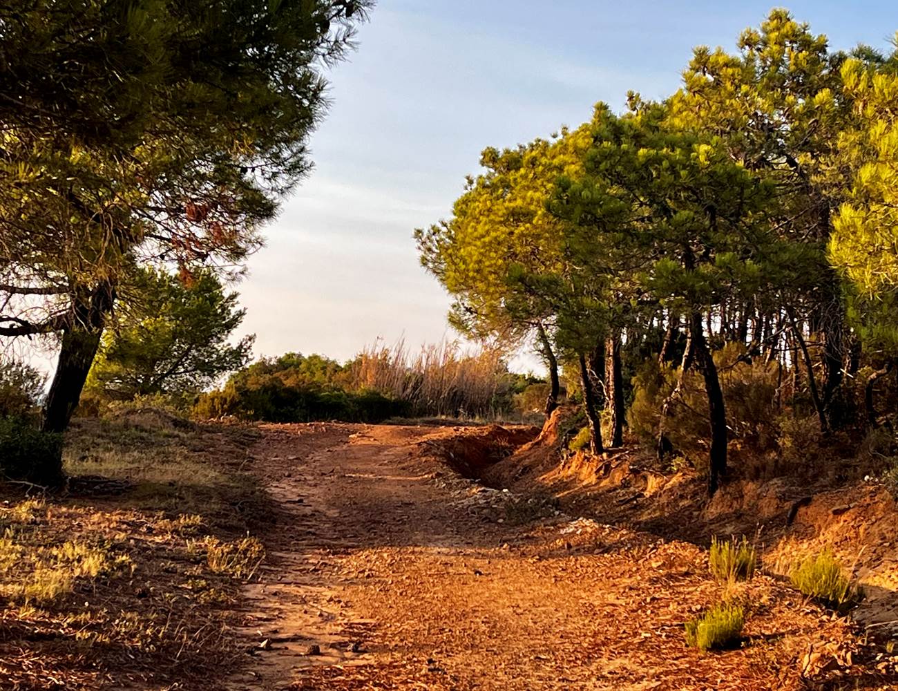 place aux balades-photo-news