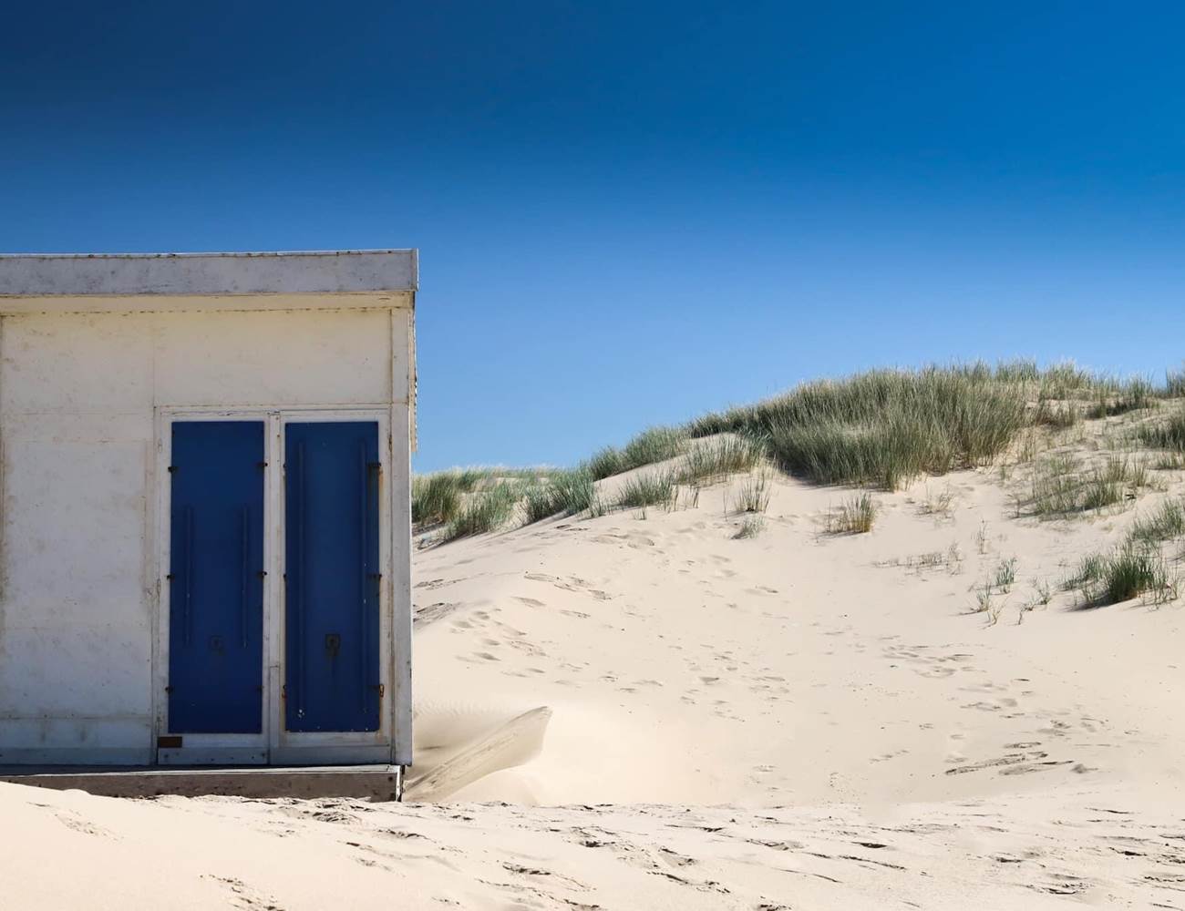 IMG_8812-photo-gallery