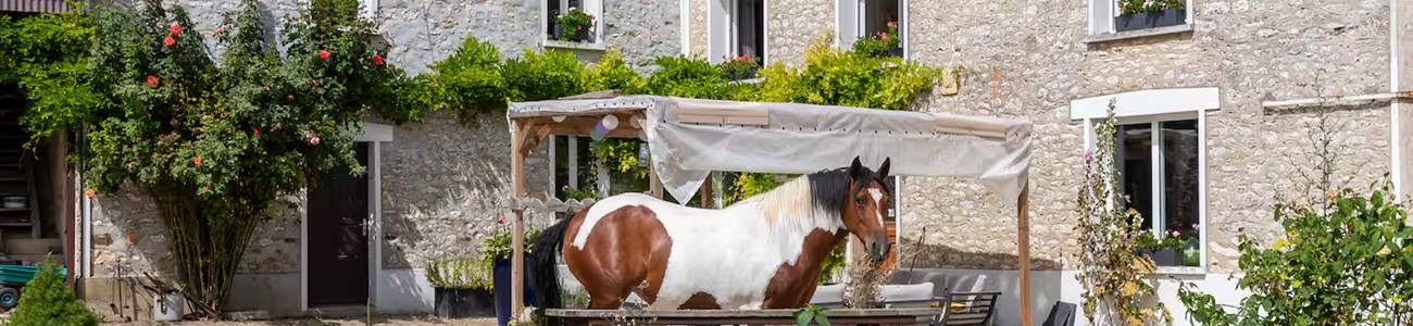 -bg-offres-speciales