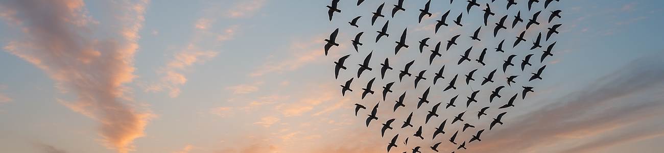 -bg-mentions-legales