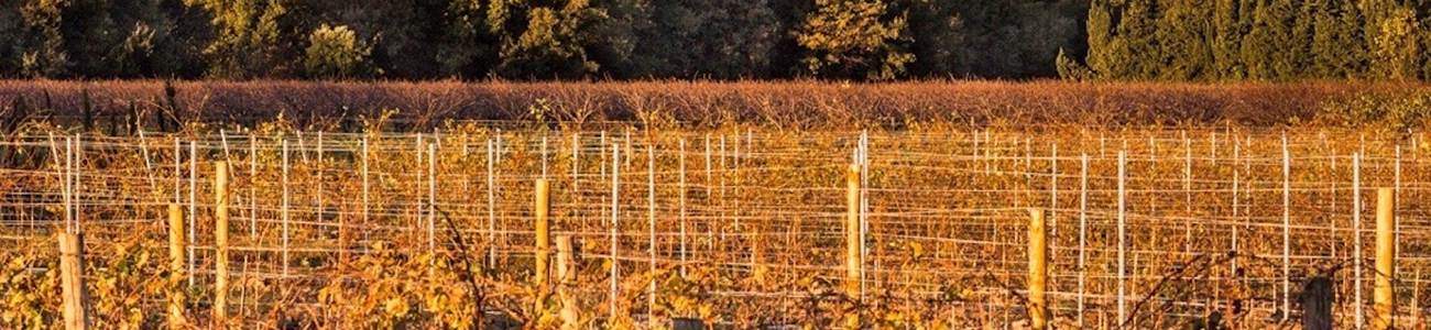 -bg-mentions-legales