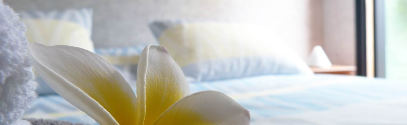 L'Orée du Maïdo - plan rapproché chambre