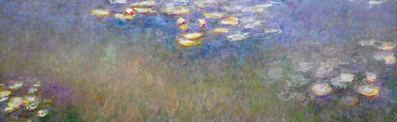 water-lilies-agapanthus
