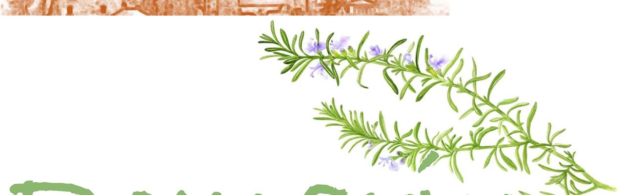 Panneaux porte20x15ROMARIN