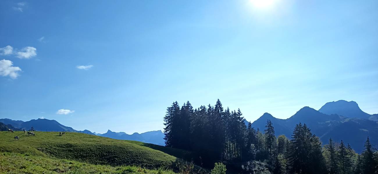 Randonnée au dessus du studio, vue sur le Moléson