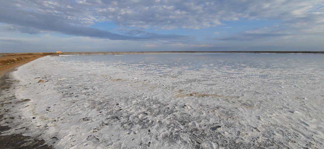 Marais salins de Gruissan