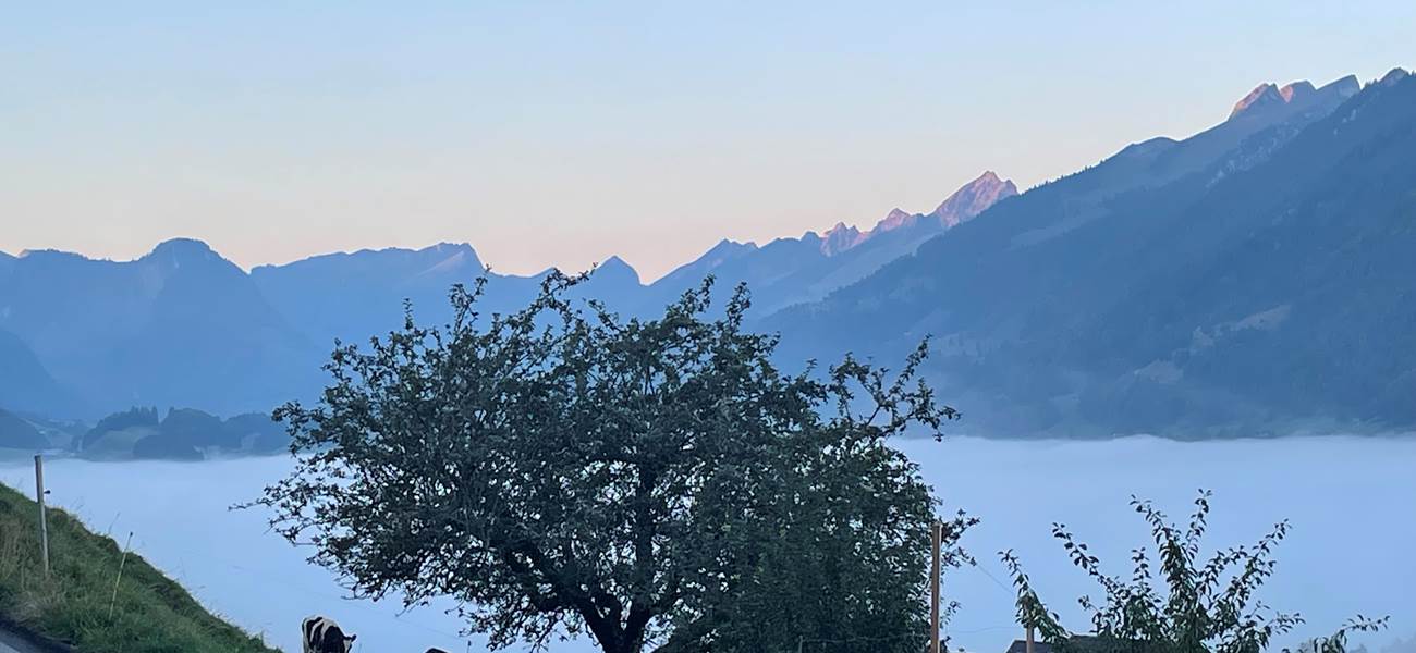 vue-panoramique-gruyere-montagnes-vanils-intyamon-studio-vacances-couple-suisse