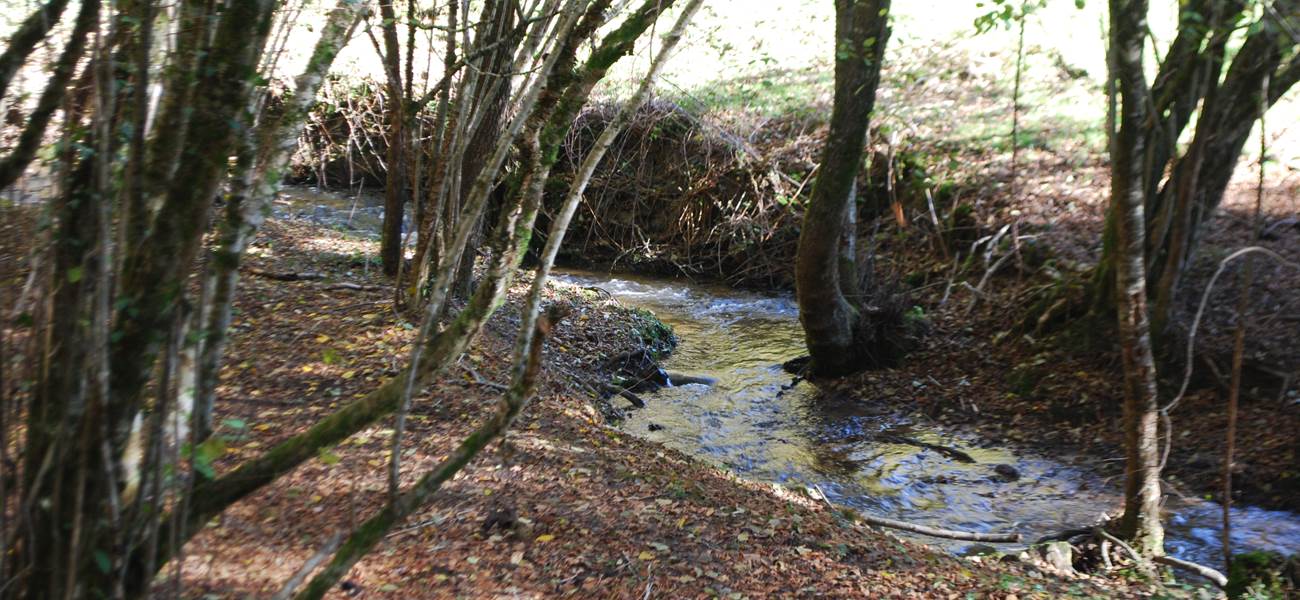 le ruisseaux des fantaisies à 15' à pied du Ranch des Lacs Hotel 87120